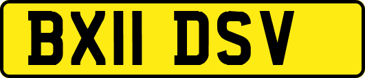BX11DSV