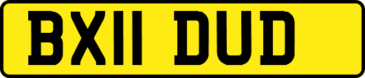 BX11DUD