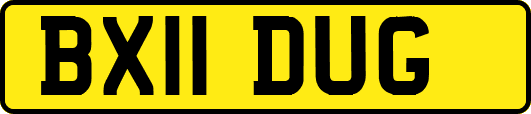 BX11DUG