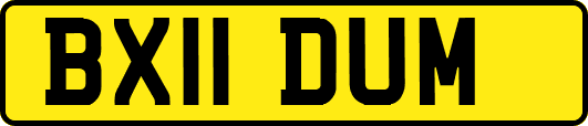 BX11DUM