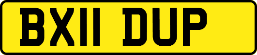 BX11DUP