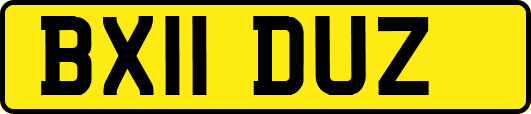 BX11DUZ