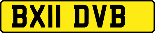 BX11DVB