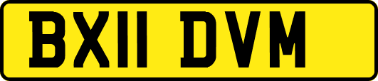 BX11DVM