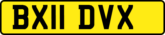BX11DVX