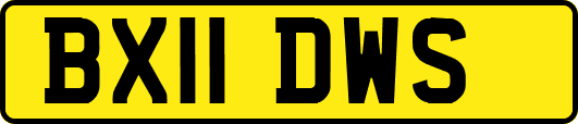 BX11DWS