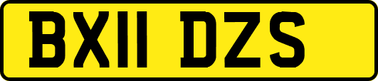 BX11DZS