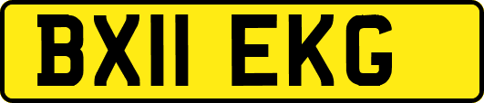 BX11EKG