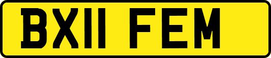 BX11FEM