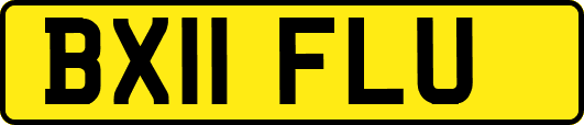 BX11FLU