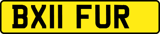 BX11FUR