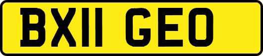 BX11GEO