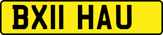 BX11HAU