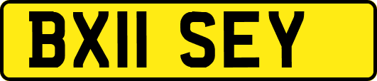 BX11SEY