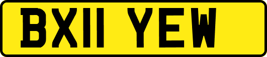 BX11YEW