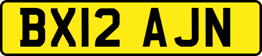 BX12AJN