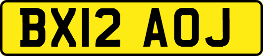 BX12AOJ