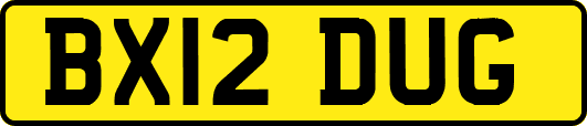 BX12DUG