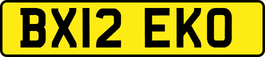 BX12EKO