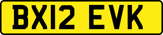 BX12EVK