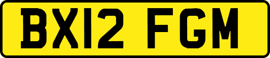 BX12FGM