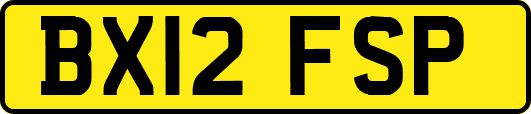 BX12FSP