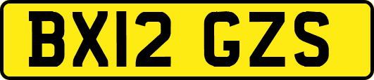 BX12GZS