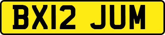 BX12JUM