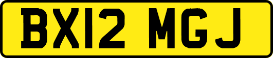 BX12MGJ