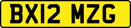 BX12MZG