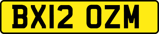 BX12OZM