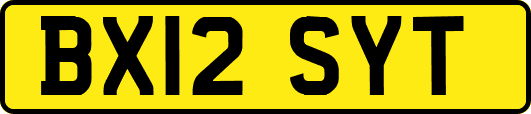BX12SYT