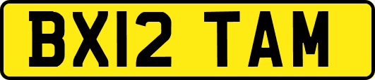BX12TAM