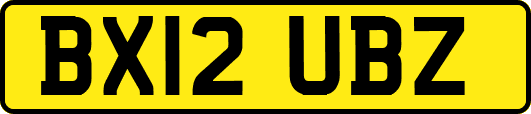 BX12UBZ
