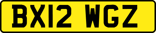 BX12WGZ