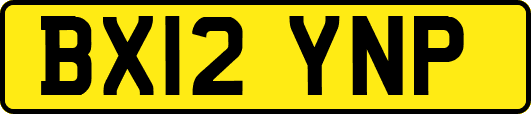 BX12YNP