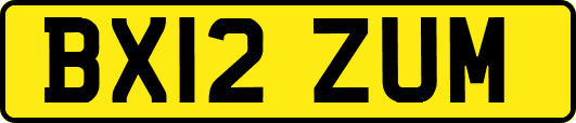 BX12ZUM