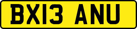 BX13ANU