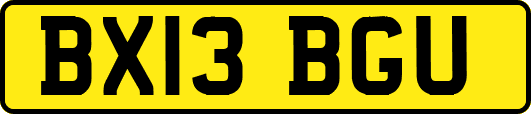 BX13BGU