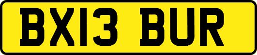 BX13BUR