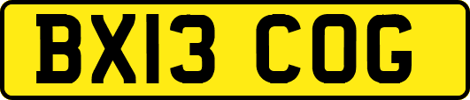 BX13COG
