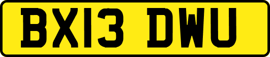 BX13DWU