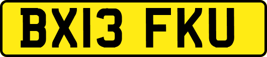 BX13FKU