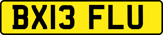 BX13FLU