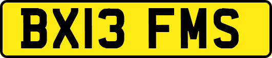 BX13FMS