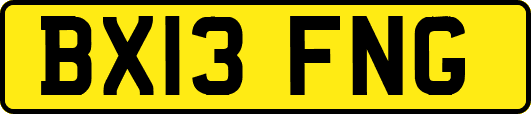 BX13FNG
