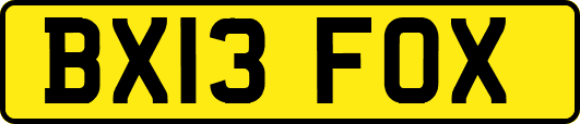 BX13FOX