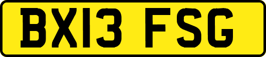 BX13FSG