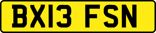 BX13FSN