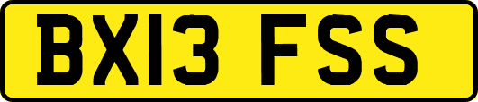 BX13FSS
